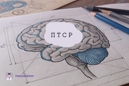 Рисунок человеческого мозга